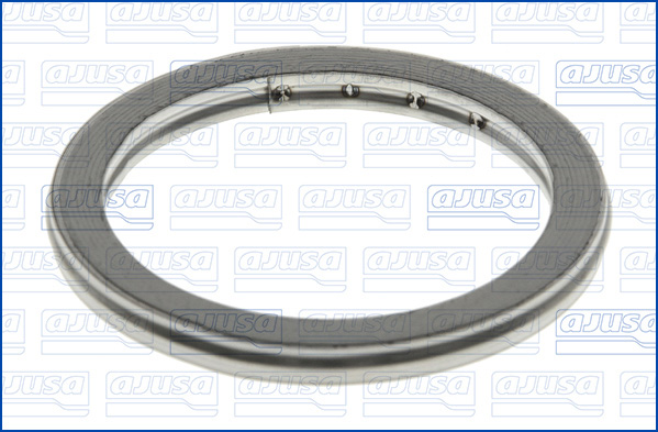 Seal Ring, exhaust pipe (50)  Art. 19003400