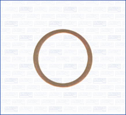 Seal Ring, oil drain plug (in the fuel tank)  Art. 21010400