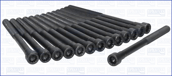 Cylinder Head Bolt Set  Art. 81016700