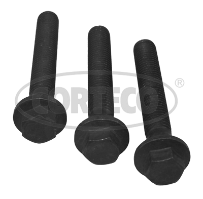 Bolt Set, crankshaft pulley  Art. 80004867