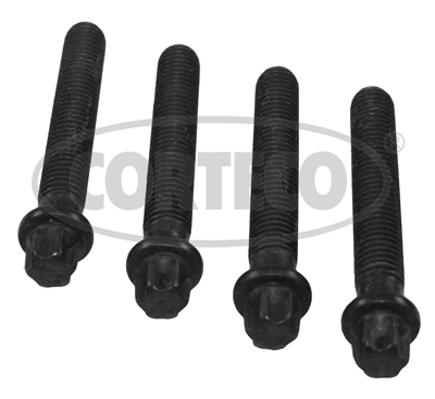 Bolt Set, crankshaft pulley (77)  Art. 80004878