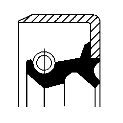 Shaft Seal, manual transmission (in the box frame)  Art. 01019151B