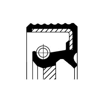 Shaft Seal, camshaft  Art. 19036722B