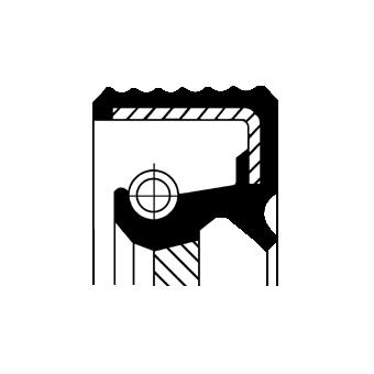 Shaft Seal, manual transmission  Art. 19036891B