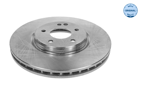 Brake Disc (Front axle)  Art. 0155210036