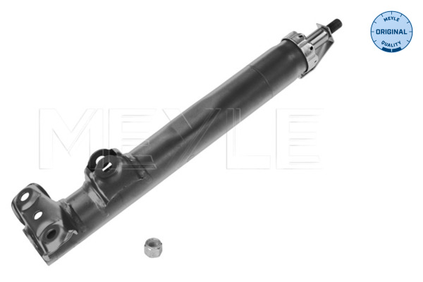 Shock Absorber (Front axle)  Art. 0266230005