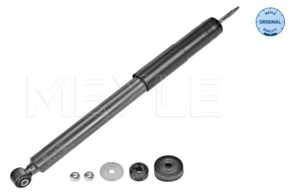 Shock Absorber (Rear axle)  Art. 0267250004