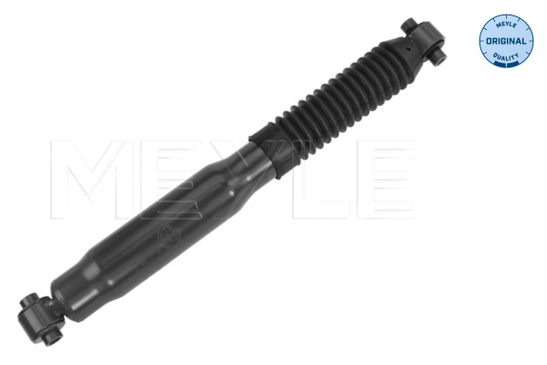 Shock Absorber (Rear axle)  Art. 11267250009