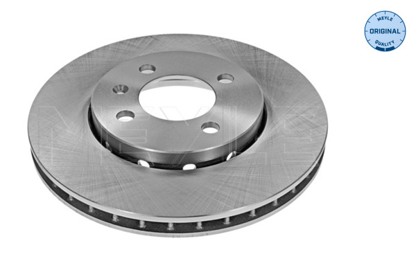 Brake Disc (Front axle)  Art. 1155210006