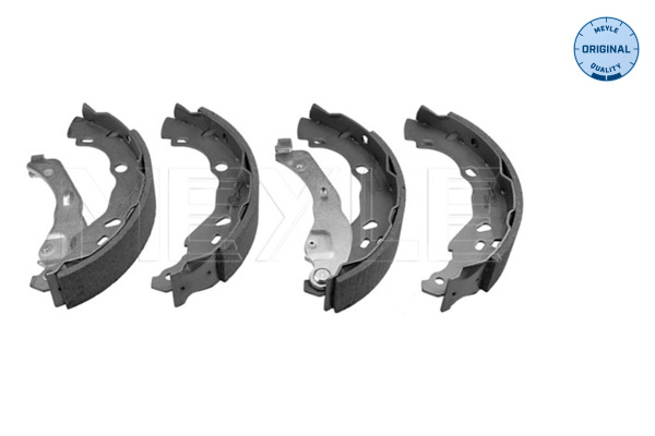 Brake Shoe Set (Rear axle)  Art. 16145330001