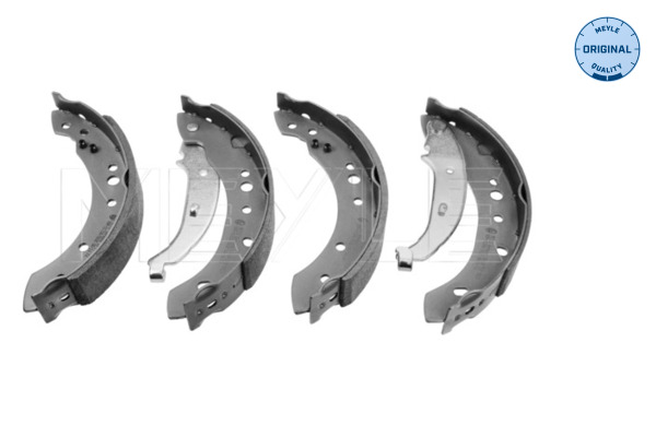 Brake Shoe Set (Rear axle)  Art. 16145330013