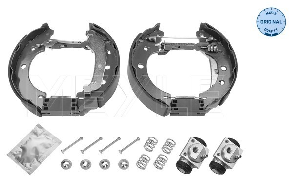 Brake Shoe Set (Rear axle)  Art. 16145330019