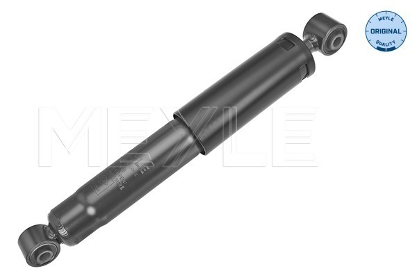 Shock Absorber (Rear axle)  Art. 16267250002