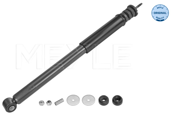 Shock Absorber (Rear axle)  Art. 16267250008