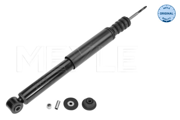 Shock Absorber (Rear axle)  Art. 16267250009