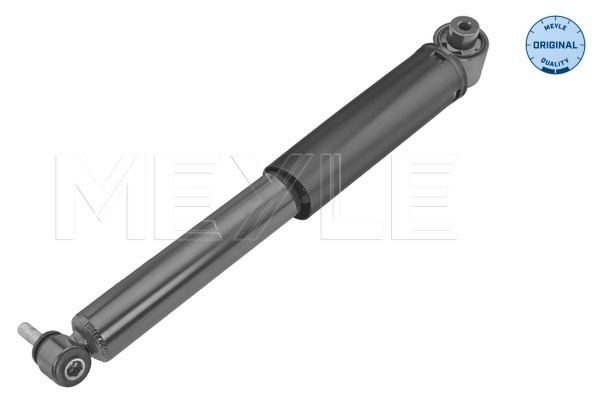 Shock Absorber (Rear axle)  Art. 16267250021