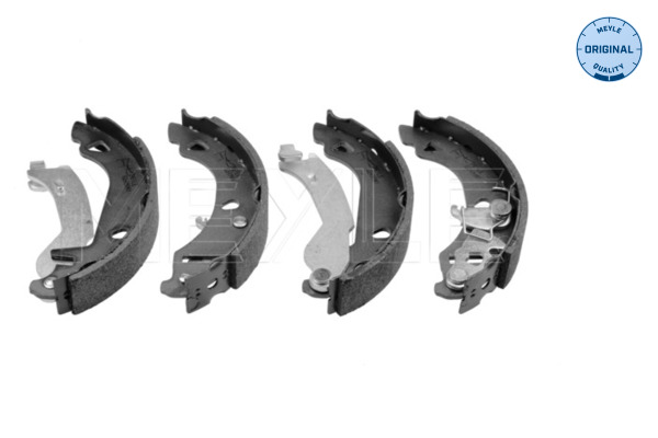 Brake Shoe Set (Rear axle)  Art. 2145330002