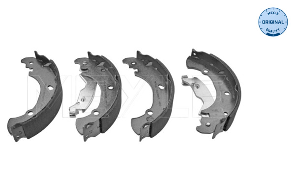 Brake Shoe Set (Rear axle)  Art. 2145330003