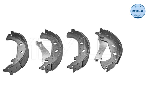 Brake Shoe Set (Rear axle)  Art. 2145330009