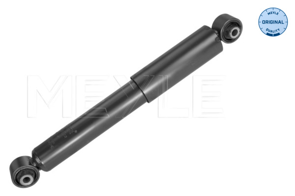 Shock Absorber (Rear axle)  Art. 30267250002