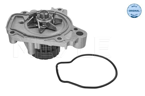 Water Pump, engine cooling  Art. 31131920003