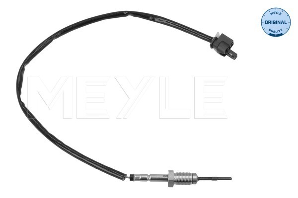 Sensor, exhaust gas temperature (OE)  Art. 3148000059