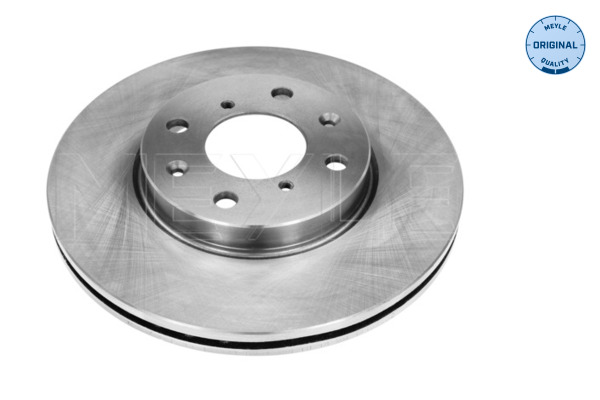 Brake Disc (Front axle)  Art. 33155210004