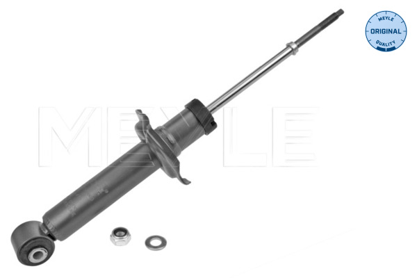 Shock Absorber (Rear axle)  Art. 36267250003