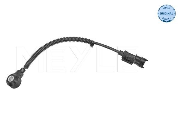 Knock Sensor (2)  Art. 37148110004