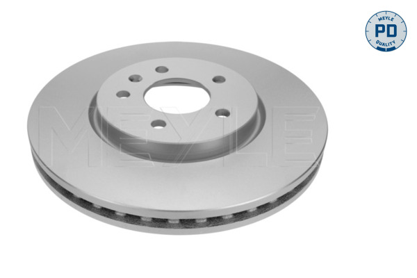 Brake Disc (Front axle)  Art. 6155210007PD