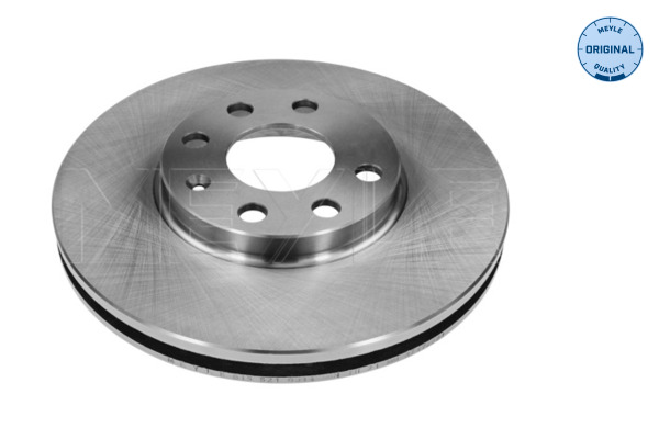 Brake Disc (Front axle)  Art. 6155210009