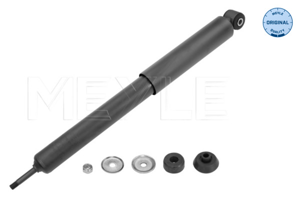 Shock Absorber (Rear axle)  Art. 6267250012