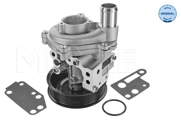 Water Pump, engine cooling  Art. 7132200010