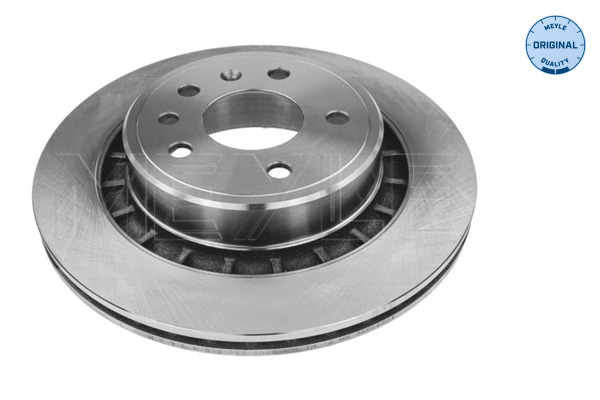 Brake Disc (Rear axle)  Art. 8155235026