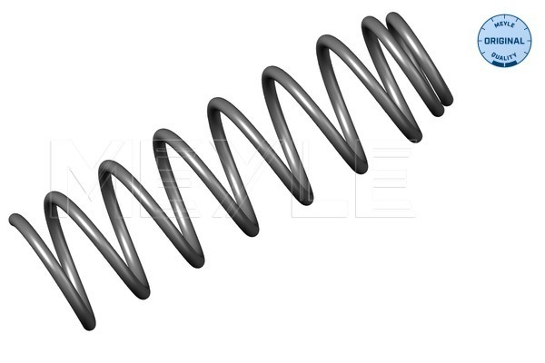 Suspension Spring (Rear axle)  Art. 1000510002