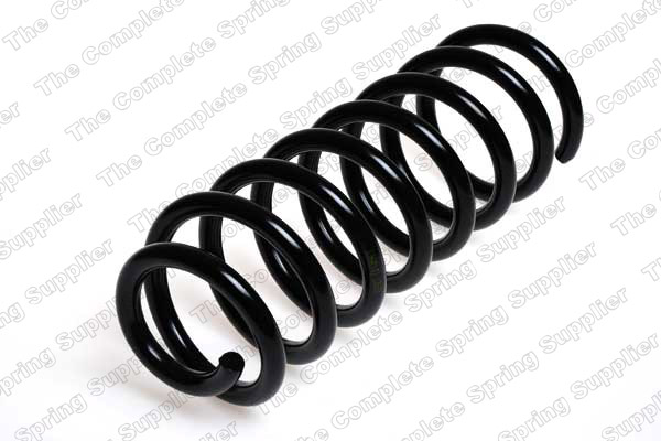 Suspension Spring (Rear axle)  Art. 4204204