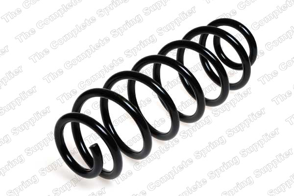 Suspension Spring (Rear axle)  Art. 4204224