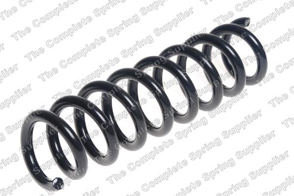 Suspension Spring (Rear axle)  Art. 4208492