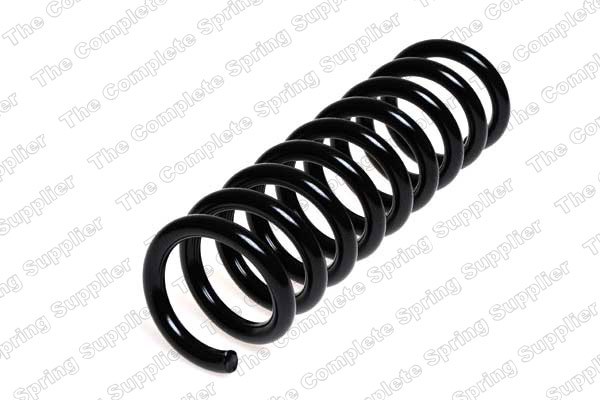 Suspension Spring (Rear axle)  Art. 4256824