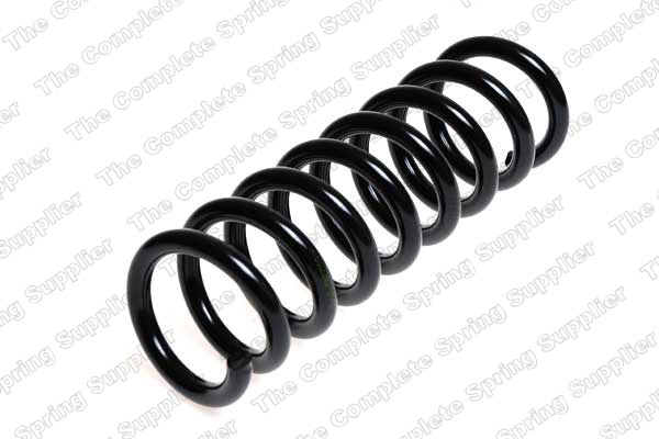 Suspension Spring (Rear axle)  Art. 4256834