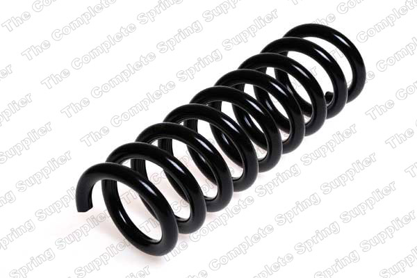 Suspension Spring (Rear axle)  Art. 4256841