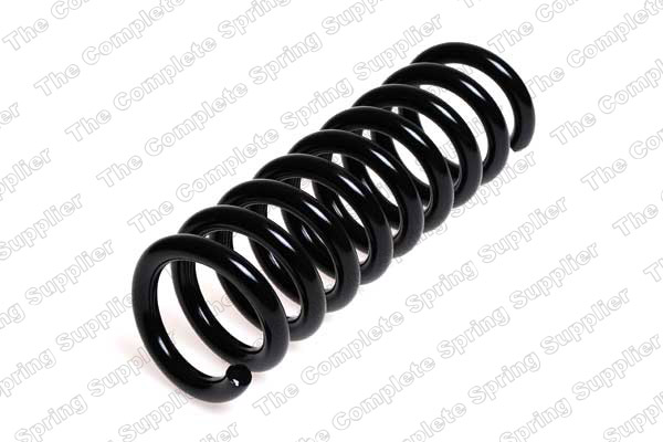 Suspension Spring (Rear axle)  Art. 4256843