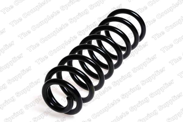 Suspension Spring (Rear axle)  Art. 4256846