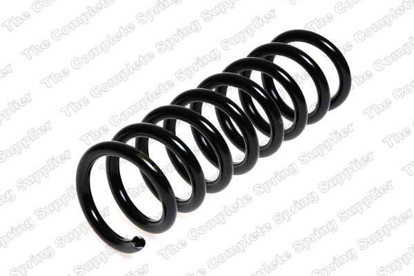 Suspension Spring (Rear axle)  Art. 4256849