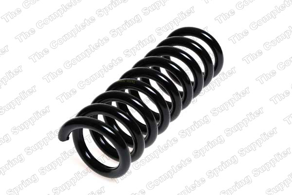 Suspension Spring (Rear axle)  Art. 4256853