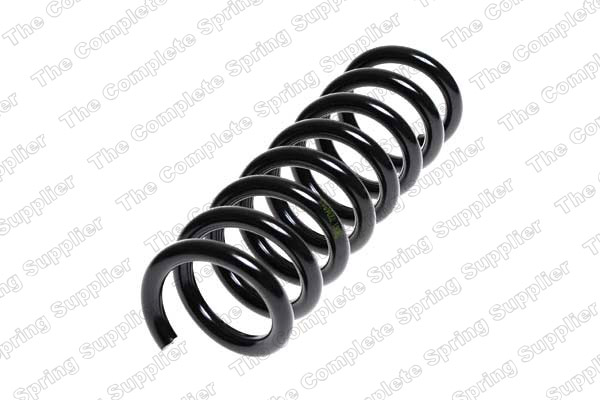 Suspension Spring (Rear axle)  Art. 4256856