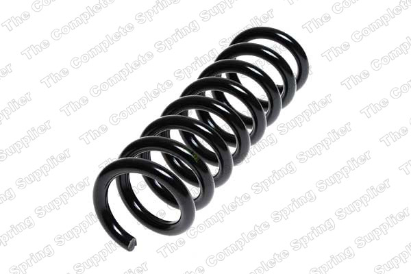 Suspension Spring (Rear axle)  Art. 4256857