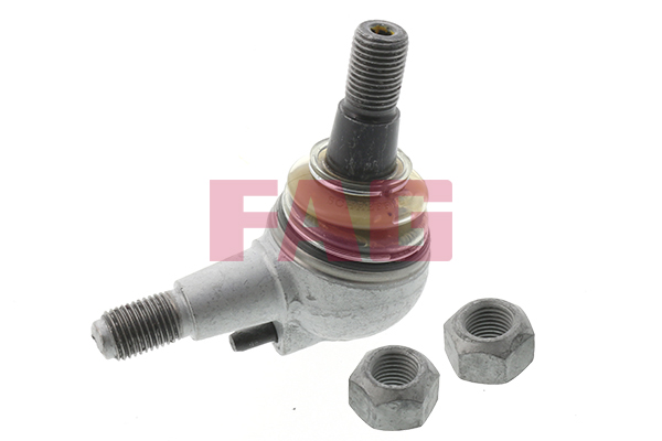 Ball Joint (Below)  Art. 825006810