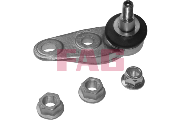 Ball Joint (Below)  Art. 825031210