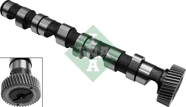 Camshaft (Left)  Art. 428015810